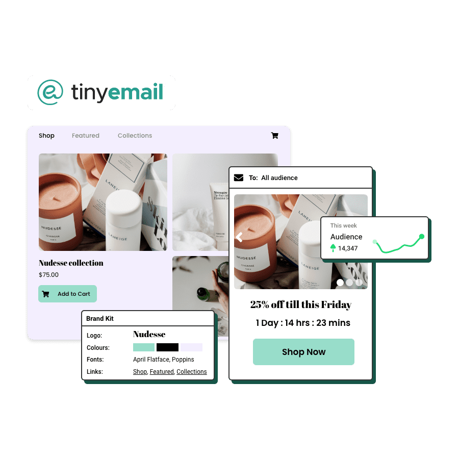 TinyEmail shopify featured image – 4