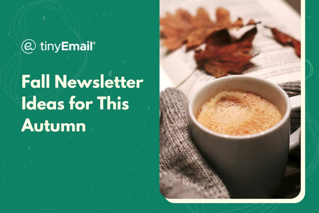 Fall Newsletter Ideas for This Autumn